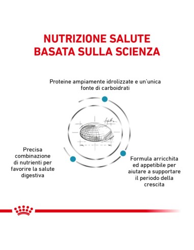 Hypoallergenic Puppy Kg.3,5 Royal Canin. Diete Secco Per Cani