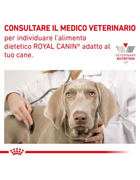 Hypoallergenic Puppy Kg.1,5 Royal Canin. Diete Secco Per Cani