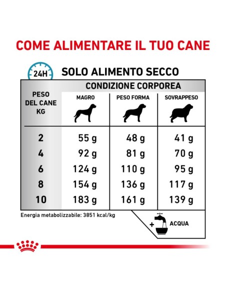 Anallergic  Small Dog KG.1,5. Diete Secco Per Cani