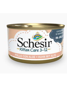 Schesir Kitten Pollo con Aloe Gr.85 Cibo per Gatti Cuccioli