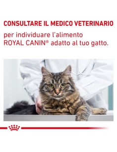 Satiety Feline kg 3,5. Royal Canin . Cibo Secco per Gatti- Diete 2
