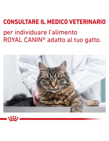 Satiety Feline kg 3,5. Royal Canin . Cibo Secco per Gatti- Diete