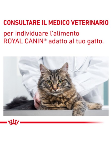 Satiety Feline kg 3,5. Royal Canin . Cibo Secco per Gatti- Diete