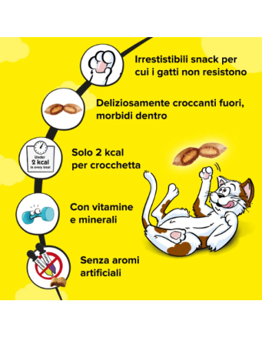 Catisfaction Mix Pollo e Anatra gr 60. Snack Per Gatti