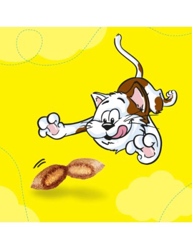 Catisfaction Mix Pollo e Anatra gr 60. Snack Per Gatti