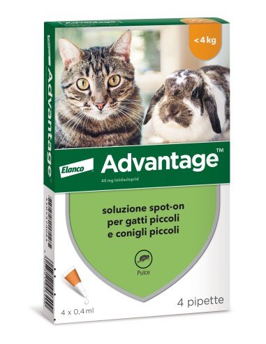 Advantage Gatto Peso Inferiore a 4Kg 4 Pipette Antiparassitario per Gatti e Conigli