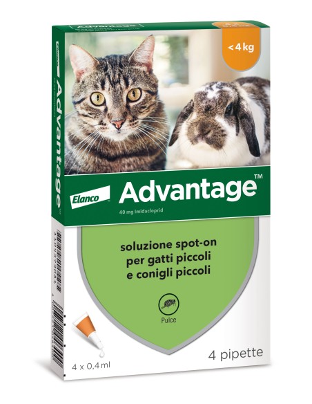 Advantage Gatto è un antiparassitario spot-on per gatti e conigli piccoli di peso inferiore a 4 kg, per la prevenzione e il trat