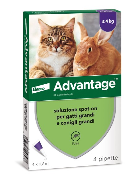 Advantage Gatto 4 Kg o Superiore Pipette Antiparassitario per Gatti e Conigli Taglia Grande. indicato per gatti grandi dalle 8 s