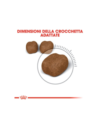 Oral Care kg 1,5 . Cibo Secco Per Gatti