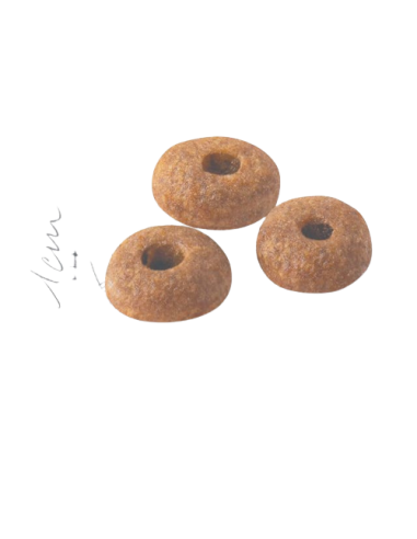 Fit 32 kg 2. Cibo Secco Per Gatti