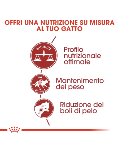 Fit 32 kg 2. Cibo Secco Per Gatti