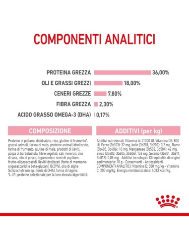 Kitten Kg 1,5. Royal Canin . Cibo Per Cuccioli di Gatto
