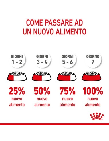 Kitten Kg 1,5. Royal Canin . Cibo Per Cuccioli di Gatto