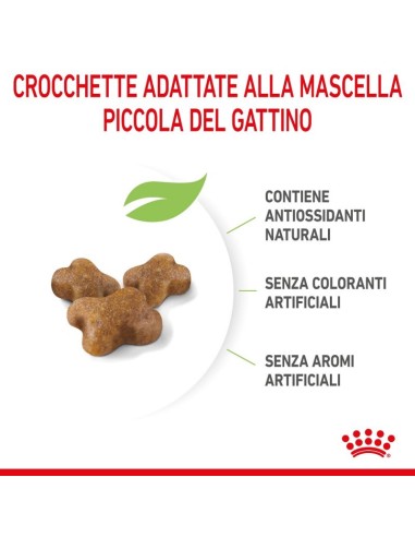 Kitten Kg 1,5. Royal Canin . Cibo Per Cuccioli di Gatto