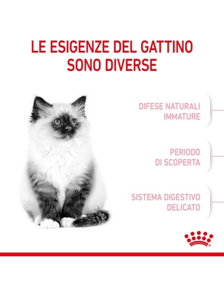 Kitten Kg 1,5. Royal Canin . Cibo Per Cuccioli di Gatto