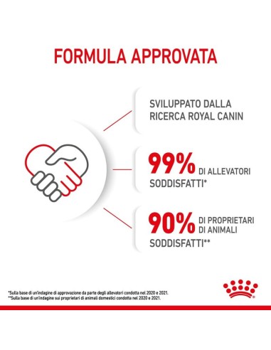 Kitten Kg 1,5. Royal Canin . Cibo Per Cuccioli di Gatto
