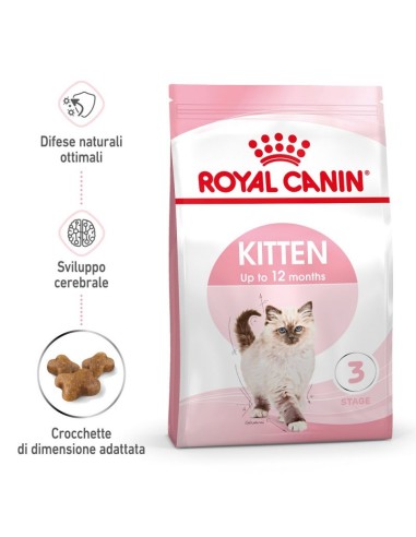 Kitten Kg 1,5. Royal Canin . Cibo Per Cuccioli di Gatto