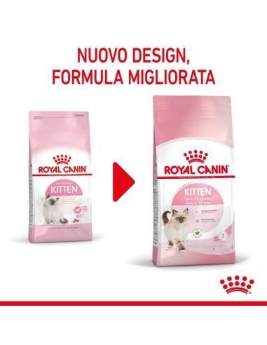 Kitten Kg 1,5. Royal Canin . Cibo Per Cuccioli di Gatto