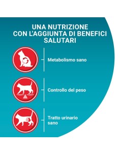 Purina One Cat Sterilcat  Manzo e frumento kg 1,5. Cibo secco per gatti 2