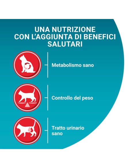 Purina One Cat Sterilcat  Manzo e frumento kg 1,5. Cibo secco per gatti