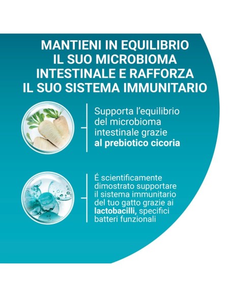 Purina One Cat Sterilcat  Manzo e frumento kg 1,5. Cibo secco per gatti