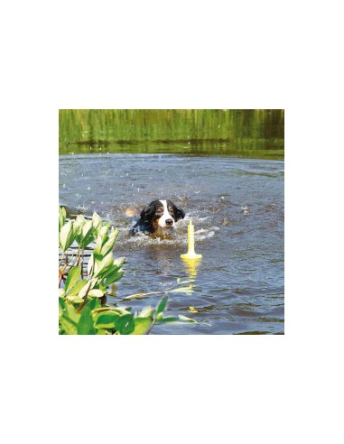 Dog Activity Mot Aqua. Giochi Per Cani