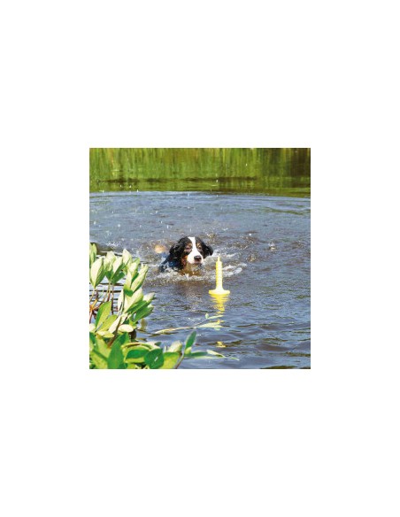 Dog Activity Mot Aqua. Giochi Per Cani