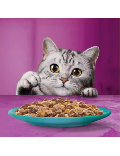 Whiskas Pranzetti 1+ Salmone Tonno in salsa Gr.50X 6 Pz. Cibo Umido Per Gatti 2