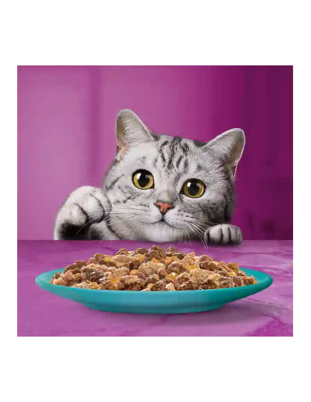 Whiskas Pranzetti 1+ Salmone Tonno in salsa Gr.50X 6 Pz. Cibo Umido Per Gatti