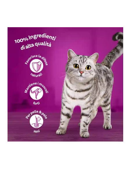 Whiskas Pranzetti 1+ Salmone Tonno in salsa Gr.50X 6 Pz. Cibo Umido Per Gatti