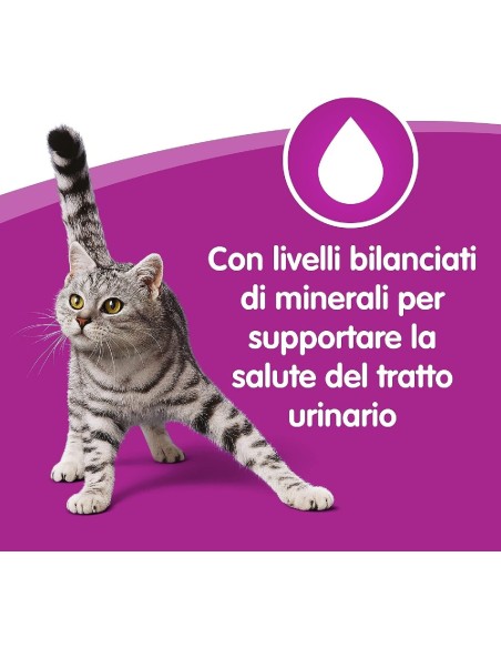 Whiskas Pranzetti In salsa 1+ Carni Miste  manzo agnello Cibo Umido Per Gatti
