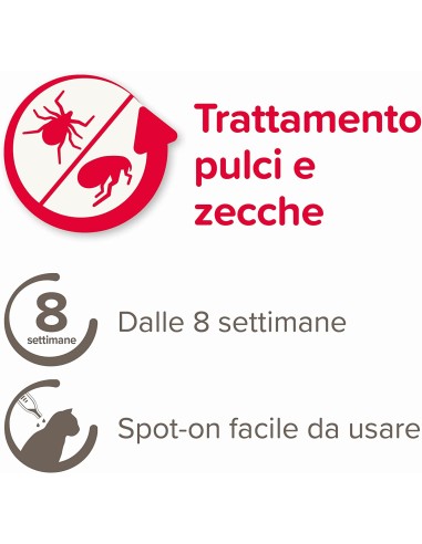 Beaphar Fiprotec Gatto 3 pipette . Antiparassitario Gatto