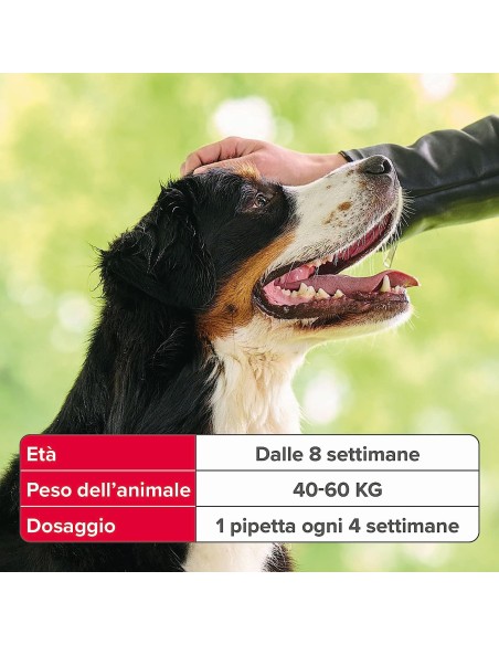 Beaphar Fiprotec Cane Grande 40-60 kg - 3 pipette . Antiparassitario Per Cani.