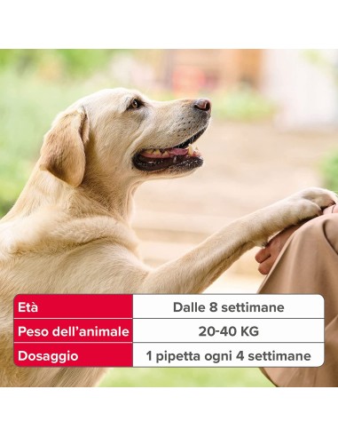 Beaphar Fiprotec Cane Grande 20-40 kg - 3 pipette . Antiparassitario Per Cani