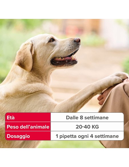 Beaphar Fiprotec Cane Grande 20-40 kg - 3 pipette . Antiparassitario Per Cani