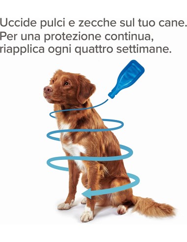 Beaphar Fiprotec Cane Medio 10-20 kg - 3 pipette . Antiparassitario Per Cani