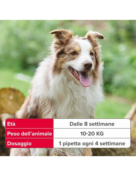 Beaphar Fiprotec Cane Medio 10-20 kg - 3 pipette . Antiparassitario Per Cani