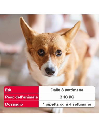 Beaphar Fiprotec Cane Piccolo 2-10 kg  - 3 pipette . Antiparassitario Per Cani.