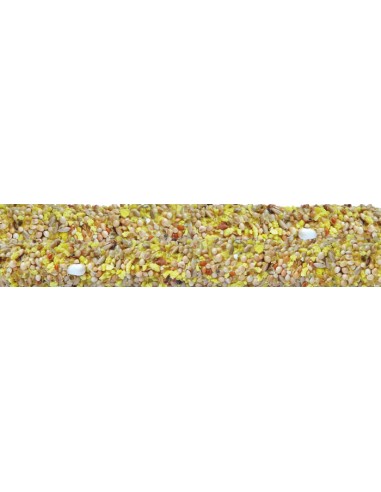 Stick Pappagallini e  Inseparabile Frutta miele 30 GR. Mangime Per Uccelli.