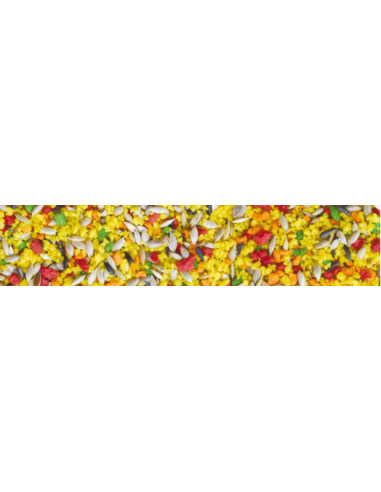 Gran Festa Canarini gr 500. Mangime Per Uccelli .