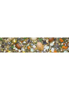 Miscuglio per Roditori kg 1. Mangime Per Roditori 2