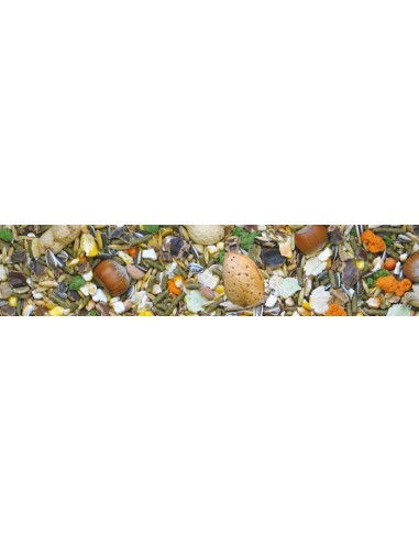 Miscuglio per Roditori kg 1. Mangime Per Roditori