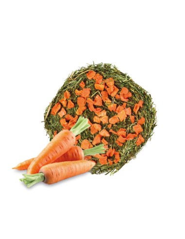 Fieno In Roll Homefriends Carota e Peperone gr 200. Fieno