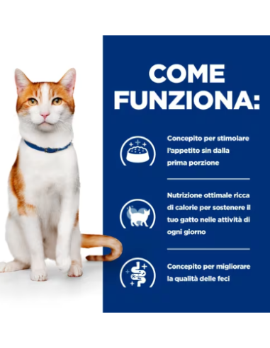 Hill's Feline On- Care  Kg.1,5. Diete - Cibo Secco Per Gatti