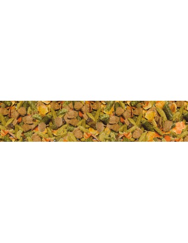 My Cavia Complete gr 600. Cibo Per Roditori