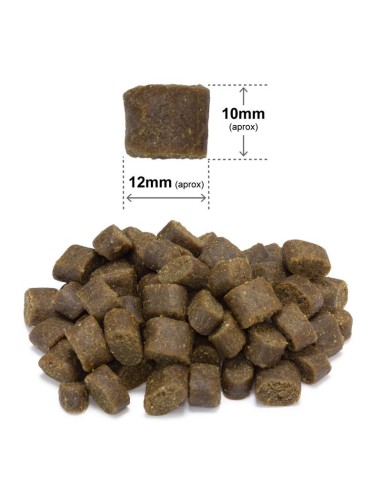 Arquivet Dog Fresh Ocean  Fish kg 2,5. Crocchette Per Cani