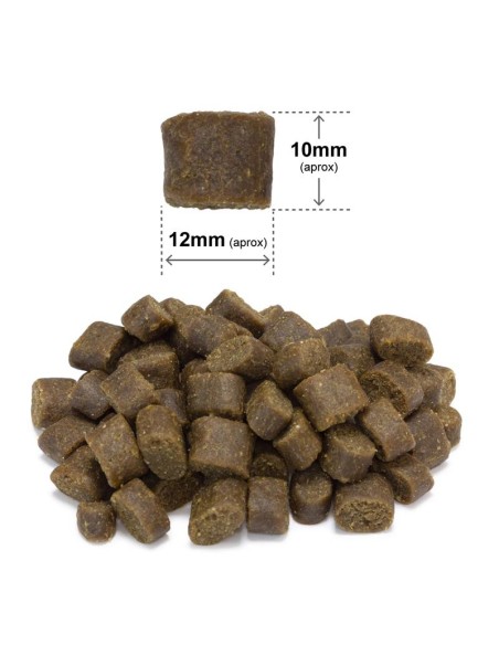 Arquivet Dog Fresh Ocean Fish kg 10.Crocchette  per cani