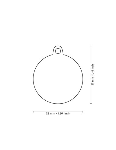 Medaglietta Charms Cerchio mis.m The Queen