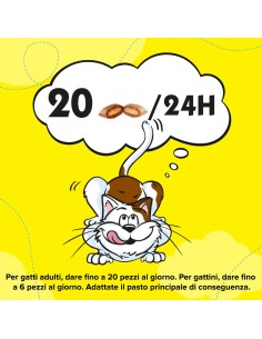 Catisfaction Variety Box 12 x60 gr. Snack Per Gatti 2