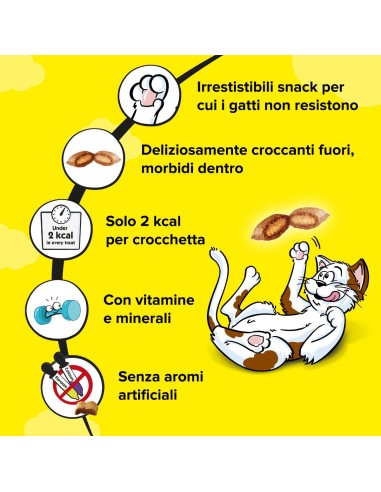 Catisfaction Variety Box 12 x60 gr. Snack Per Gatti